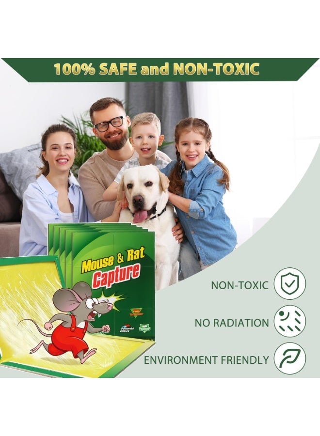 ناكسي فلاي عبوة مكونة من 5 فخاخ لصمغ الفئران والجرذان، فخاخ لاصقة قوية لالتقاط الفئران والجرذان، قوية وغير سامة وسهلة الاستخدام وقابلة للتصرف - Image 2